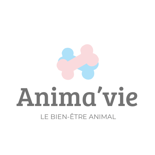 Anima'vie