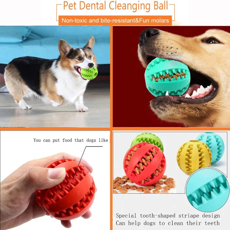 Jouets pour chiens nettoyeur de dents