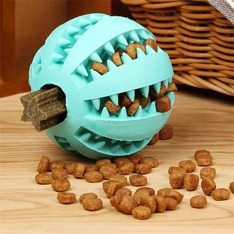 Jouets pour chiens nettoyeur de dents