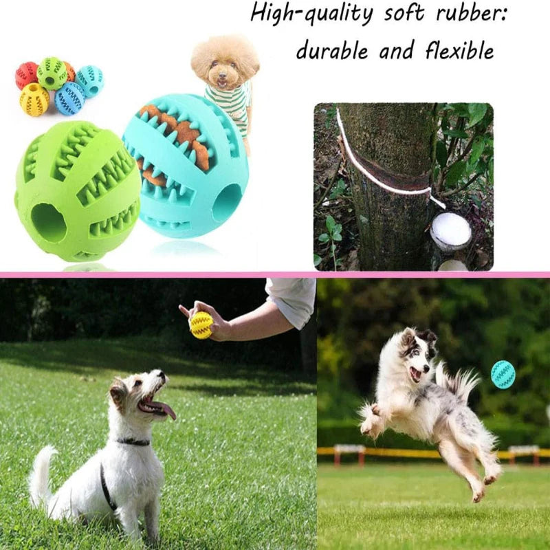 Jouets pour chiens nettoyeur de dents