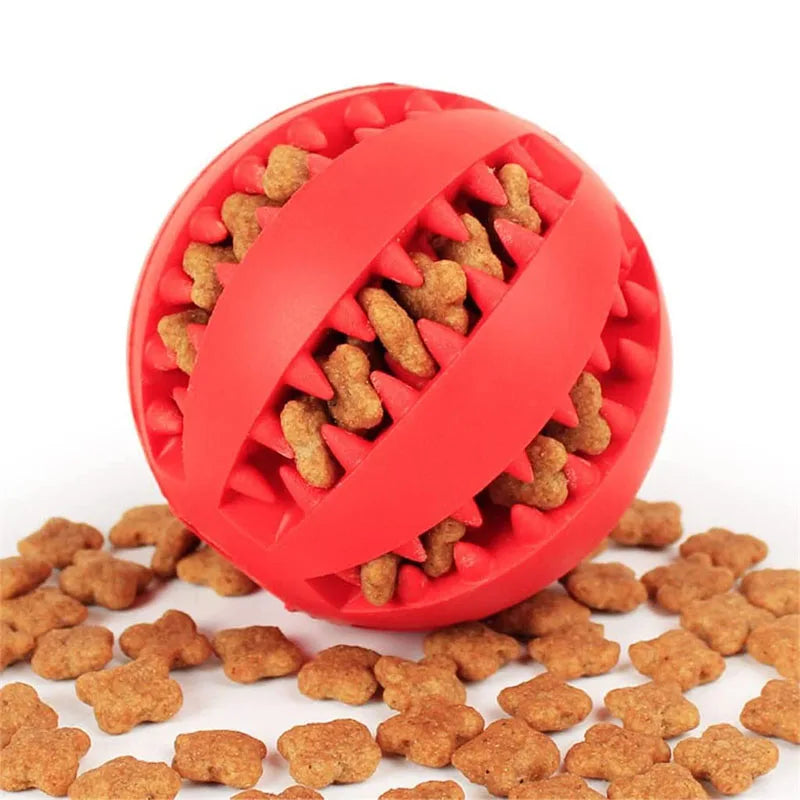 Jouets pour chiens nettoyeur de dents