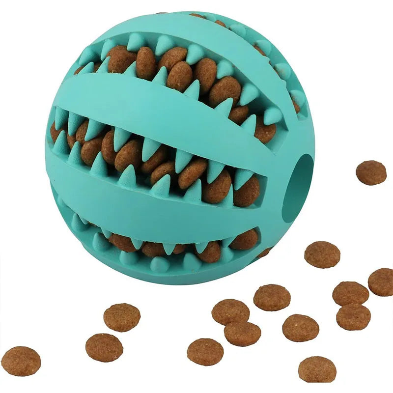 Jouets pour chiens nettoyeur de dents