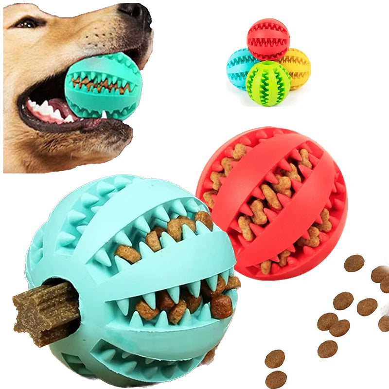 Jouets pour chiens nettoyeur de dents