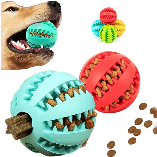 Jouets pour chiens nettoyeur de dents