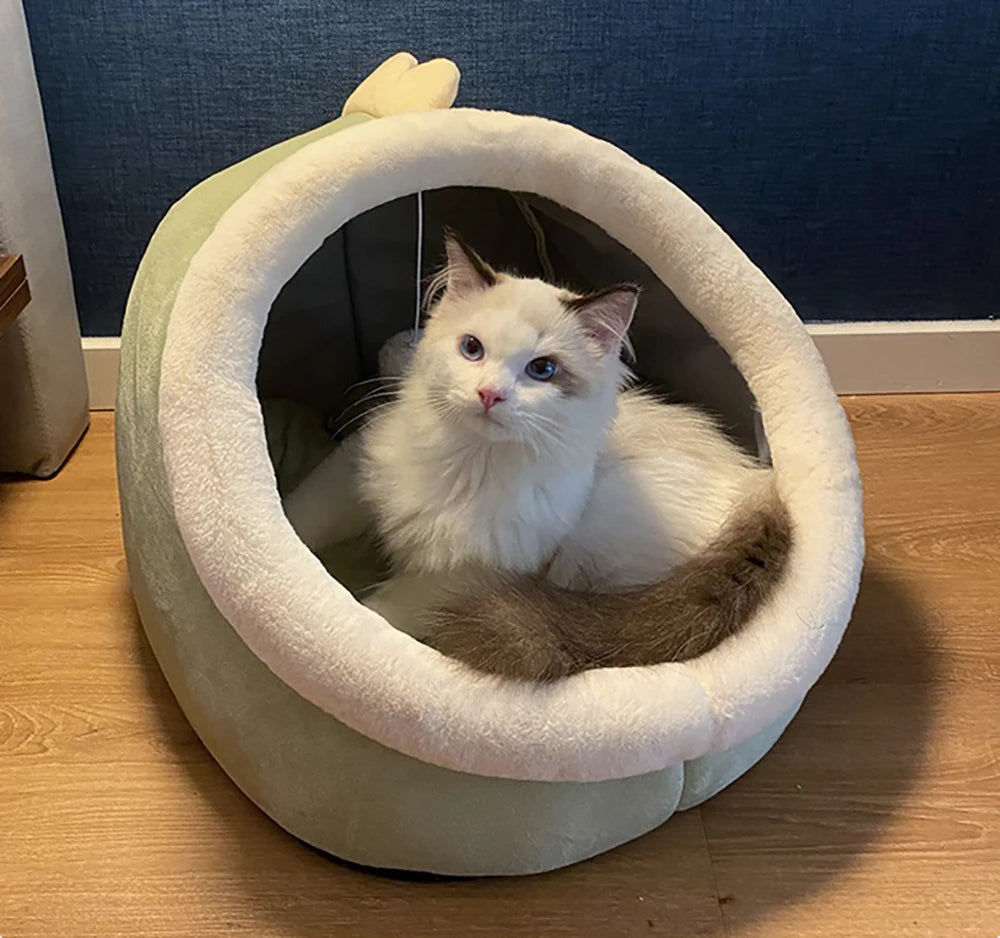 Lit premium pour chats, confortable et lavable