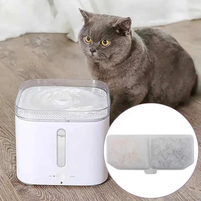 Filtre pour fontaine à eau pour chat